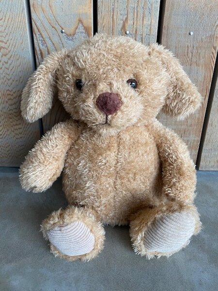 Aroma Home warmteknuffel golden dog 31 cm