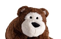 Hugo Frosch knuffelkussen beer met kruik 1,8 L - kinderkruik 50x42 cm - bruin