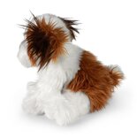 Rappa ECO knuffel hond Shih Tzu 28 cm - realistische knuffel van recyclede PET flessen