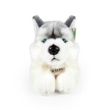 Rappa ECO knuffel hond husky 30 cm - realistische knuffel van recyclede PET flessen - grijs, wit