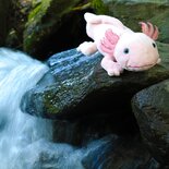 Rappa ECO knuffel axolotl 33 cm - realistische knuffel van recyclede PET flessen - roze