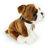 Rappa ECO knuffel hond boxer 27 cm - realistische knuffel van recyclede PET flessen - groen