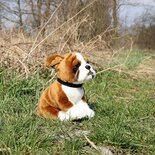 Rappa ECO knuffel hond boxer 27 cm - realistische knuffel van recyclede PET flessen - groen