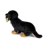 Rappa ECO knuffel Teckel 32 cm - realistische knuffel hond van recyclede PET flessen - zwart, bruin