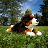 Rappa ECO knuffel liggende Berner Sennen hond 30 cm - realistische knuffel van recyclede PET flessen 