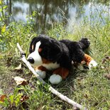Rappa ECO knuffel Berner Sennen hond 44 cm - realistische knuffel hond van recyclede PET flessen