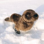 Rappa ECO knuffel zeehond 24 cm - realistische knuffel van recyclede PET flessen - bruin