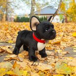 Rappa ECO knuffel Franse Bulldog 30 cm - realistische knuffel van recyclede PET flessen - zwart, wit