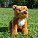 Rappa ECO knuffel Staffordshire Bull Terrier 30 cm - realistische knuffel van recyclede PET flessen
