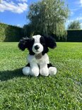 Rappa ECO knuffel Border Collie 30 cm - realistische knuffel van recyclede PET flessen - zwart, wit 