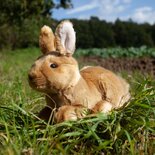Rappa ECO knuffel konijn 23 cm - realistische knuffel van recyclede PET flessen - karamel