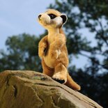 Rappa ECO knuffel stokstaartje 30 cm - realistische knuffel van recyclede PET flessen - bruin 