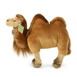Rappa ECO knuffel kameel 30 cm - realistische knuffel van recyclede PET flessen - bruin
