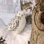 Rappa ECO knuffel sneeuw uil met roterend hoofd 28 cm - realistische knuffel van recyclede PET flessen 