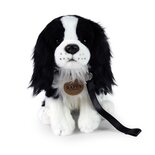 Rappa ECO knuffel King Charles Spaniel 27 cm met riem - realistische knuffel van recyclede PET flessen