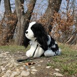 Rappa ECO knuffel King Charles Spaniel 27 cm met riem - realistische knuffel van recyclede PET flessen