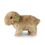 Rappa ECO knuffel Capybara 30 cm - realistische knuffel van recyclede PET flessen - bruin