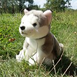 Rappa ECO knuffel Husky met riem 28 cm - realistische knuffel van recyclede PET flessen - grijs wit