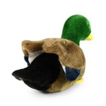 Rappa ECO knuffel eend 22 cm - realistische knuffel van recyclede PET flessen - groen grijs zwart geel