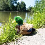 Rappa ECO knuffel eend 22 cm - realistische knuffel van recyclede PET flessen - groen grijs zwart geel