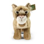 Rappa ECO knuffel bergleeuw 28 cm - realistische knuffel van recyclede PET flessen - lichtbruin