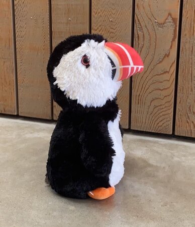 Cozy Time Papegaaiduiker warmteknuffel 30 cm wit/oranje/zwart 