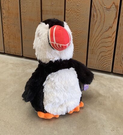 Cozy Time Papegaaiduiker warmteknuffel 30 cm wit/oranje/zwart 