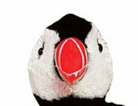 Cozy Time Papegaaiduiker warmteknuffel 30 cm wit/oranje/zwart 