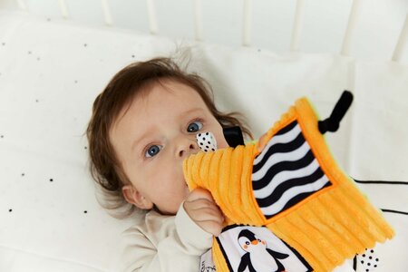 Sensorisch knuffeldoekje pinguin 17x17 cm oranje en groen - knuffeldoekje baby