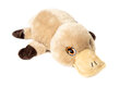 Habibi warmteknuffel vogelbekdier beige bruin 35 cm - magnetronknuffel