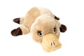 Habibi warmteknuffel vogelbekdier beige bruin 35 cm - magnetronknuffel