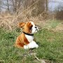 Rappa ECO knuffel hond boxer 27 cm - realistische knuffel van recyclede PET flessen - groen
