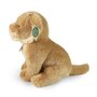 Rappa ECO knuffel lioness / leeuw 25 cm - realistische knuffel van recyclede PET flessen - bruin