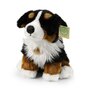 Rappa ECO knuffel Berner Sennen hond 28 cm - realistische knuffel van recyclede PET flessen 
