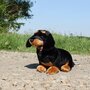 Rappa ECO knuffel Teckel 30 cm - realistische knuffel hond van recyclede PET flessen - zwart, bruin