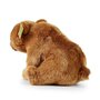 Rappa ECO knuffel Grizzly beer 30 cm - realistische knuffel van recyclede PET flessen - bruin